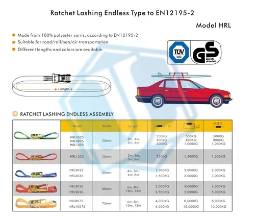 1.5 35mm 2T Endless Ratchet Tie Down Lashing Strap (Item No. 113) — Ratchet Tie Down image 2 of 2