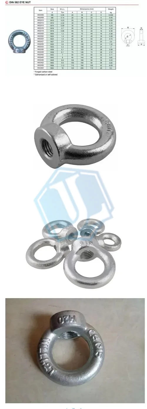 Eye Nut (Item No. 252) — Rigging hardware image 2 of 4
